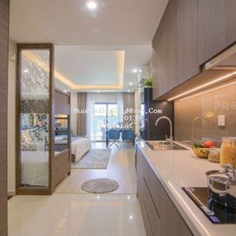 Căn hộ cao cấp, chiết khấu ưu đãi  từ 18% trở lên.