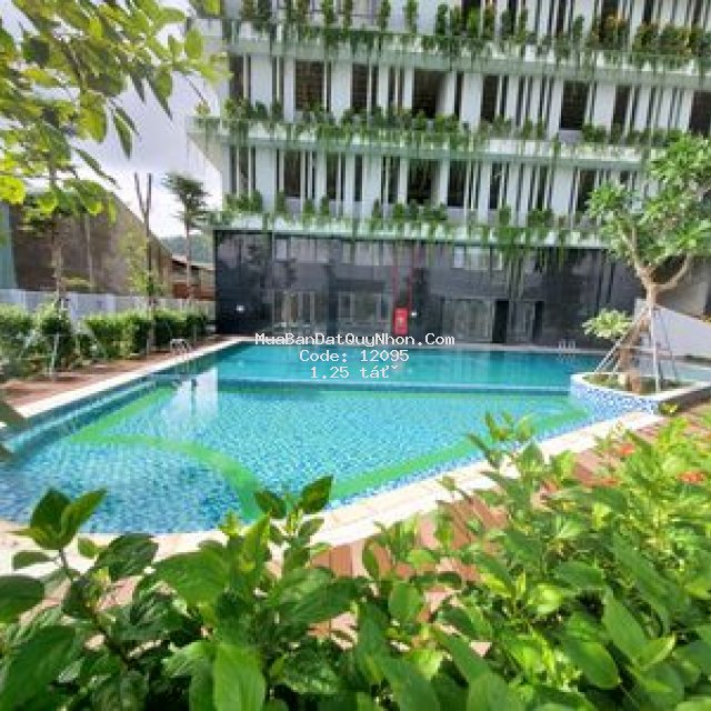 Căn hộ cao cấp quy nhơn 1tỷ250 (2pn - 60m2)