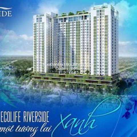 Căn hộ ecolife riverside sự lựa chọn hoàn hảo
