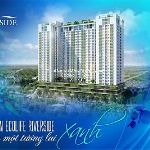 Căn hộ giá tốt ecolife riverside tổ ấm hoàn mỹ