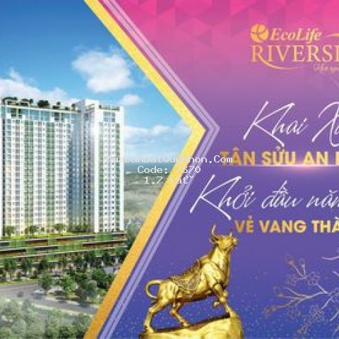 Căn hộ i tower quy nhơn ngập tràn năng lượng sống