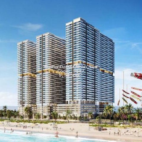 Căn hộ mặt biển takashi ocean suite kỳ co