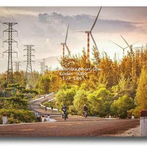 Căn hộ takashi 1pn 40m2 takashi nhơn lý, quy nhơn