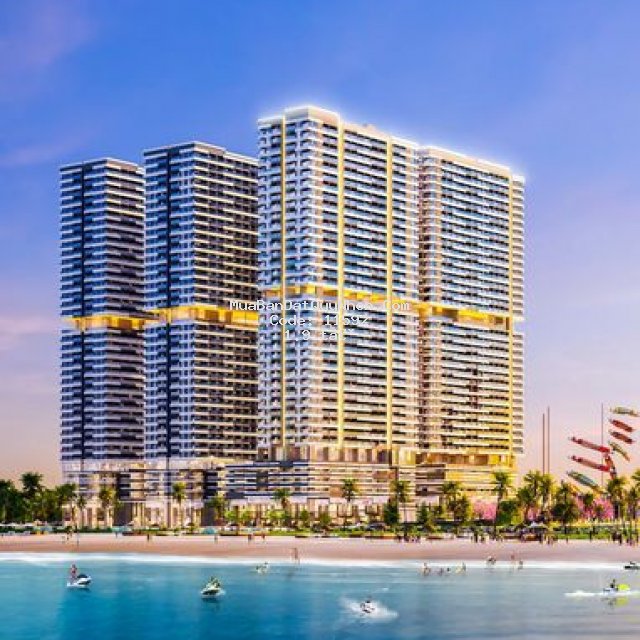 Căn hộ takashi trực diện biển quy nhơn 50m2
