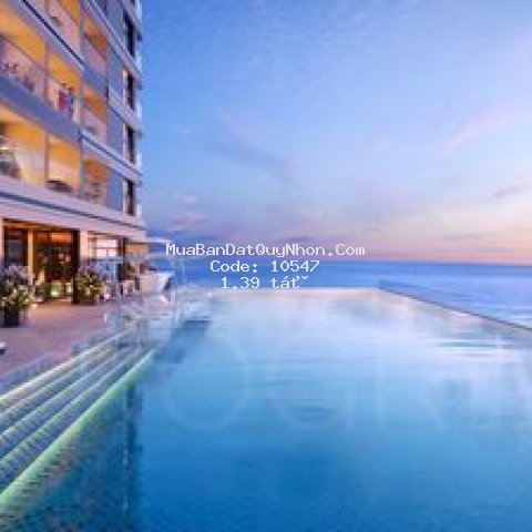 Căn hộ ven biển takashi ocean suite