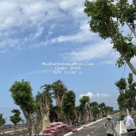 Cần rao bán đất nền gần kcn việt trung tâm tp br Cần rao bán đất nền gần kcn việt trung tâm tp br