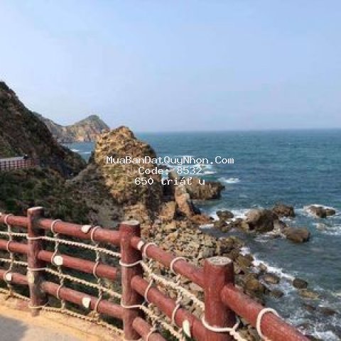 Cần sang gấp căn hộ view biển quy nhơn, 650 triệu