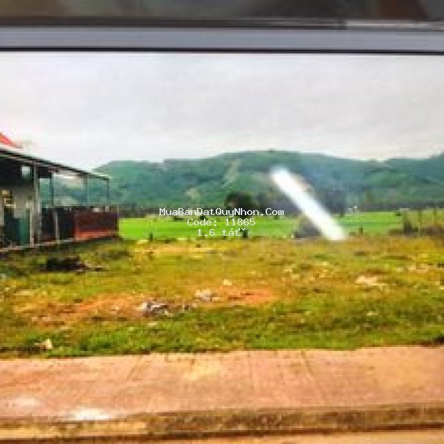 Cần tiền bán gấp 200m2 đất thổ cư mặt tiền ql1a