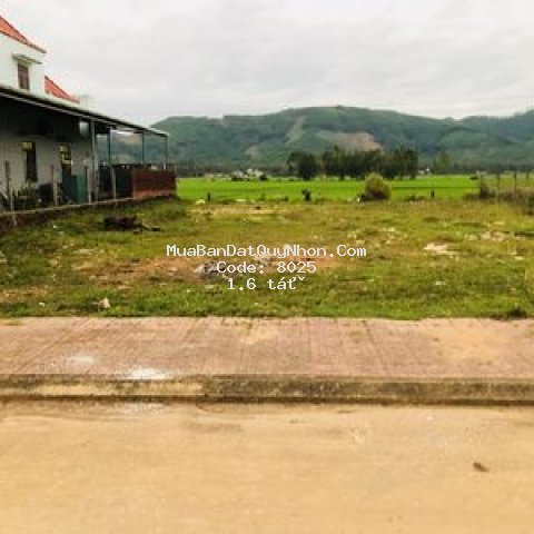 Cần tiền bán hạ giá 200m2 đất thổ cư