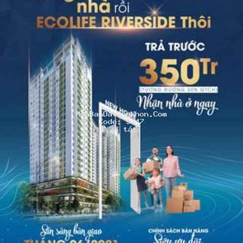 Cập nhập giá chủ đầu tư căn hộ ecolife riverside