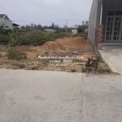 Cc bán 4 lô đất tại cát hải h. phù cát bình định