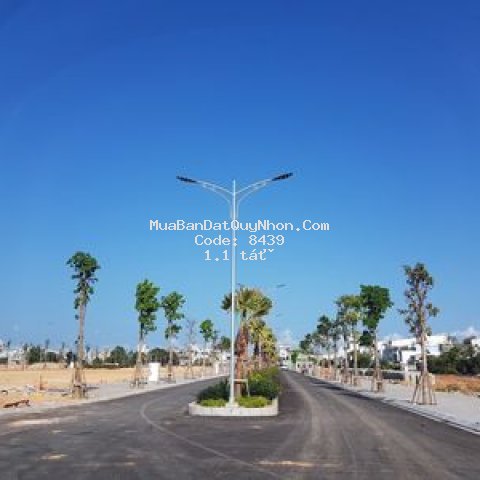 Cđt mở bán đất nền dự án  an nhơn bình địn
