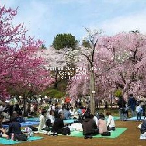 Chỉ 139 triệu, sở hữu ngay căn hộ nghỉ dưỡng biển