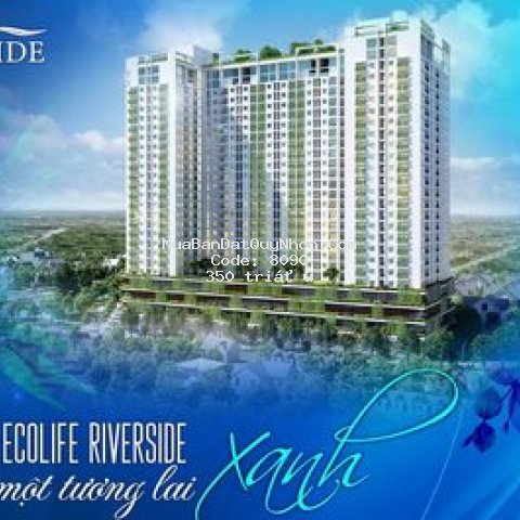 Chỉ 350tr sở hữu ngay căn hộ ecolife riverside qn