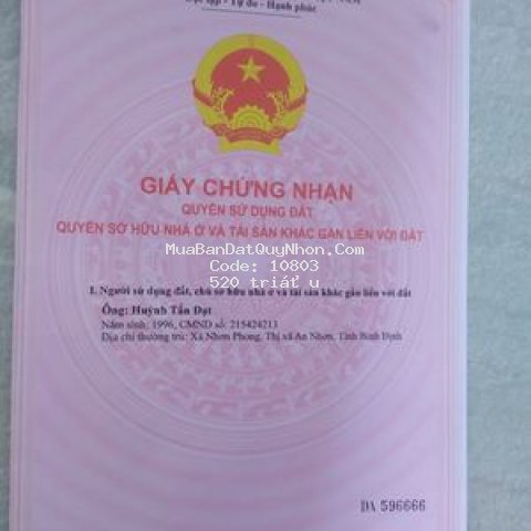 Chính chủ bán đất cách sân bay phù cát 18km