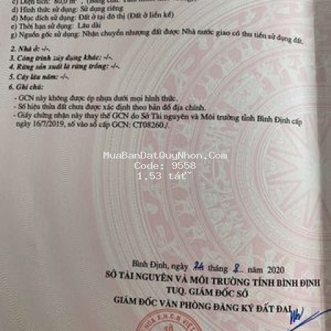 Chính chủ cần bán đất nhợ hội new city pk4
