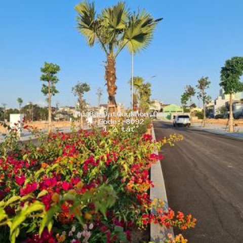 Chợ mới bình định - hưng định city - an nhơn