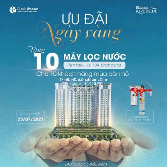 Chung cư ecolife riverside, tp quy nhơn