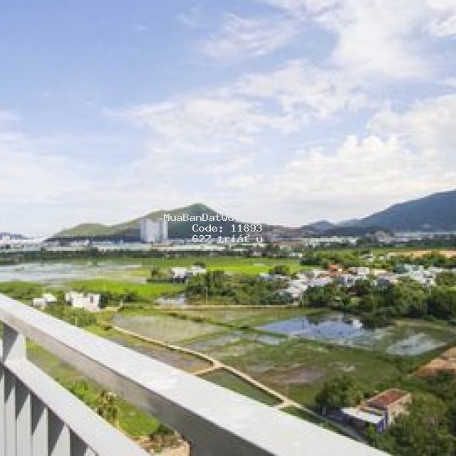 Chung cư nhà ở xã hội ecohome quy nhơn