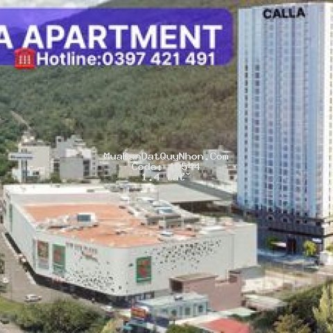 Chung cư siêu thị big c, calla apartment quy nhơn