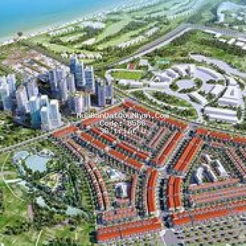 Chung cư takashi ocean suite 98m² 2 pn