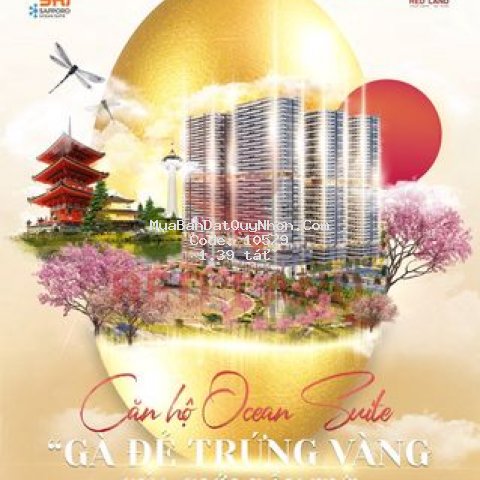 Chung cư takashi ocean suite kỳ co 40m² 1 pn