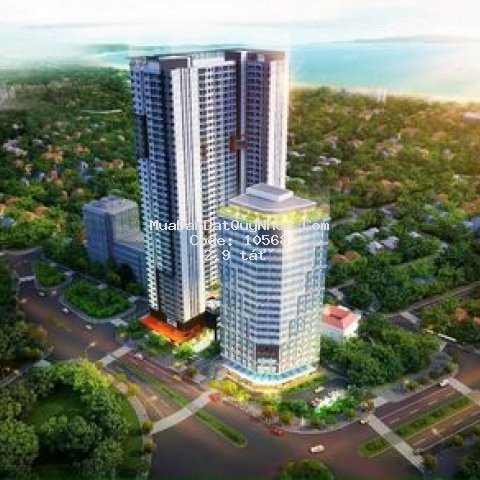 Chương trình hấp dẫn trong mùa dịch