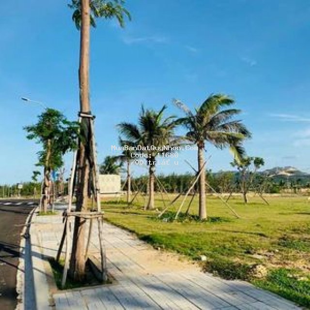 Covid ! bán giá góc 700tr, hỗ trợ ngân hàng