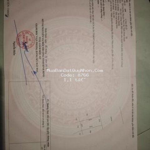 đất 100 thủ cư đt 161 m2, vị trí đường lớn đẹp