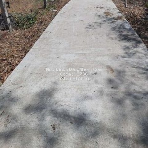 đất 3 mặt đường giá rẻ mùa côvy