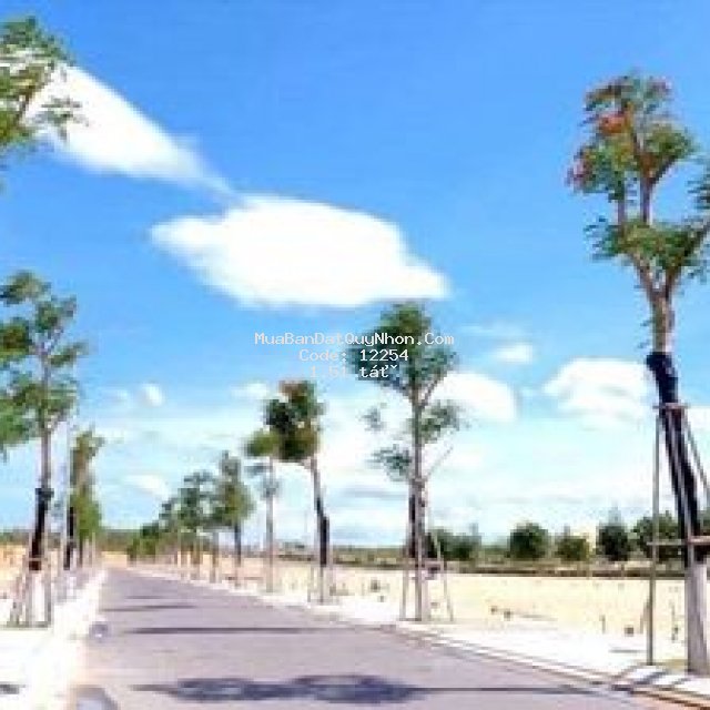 đất biển quy nhơn 80m2 view công viên nhật bản shr