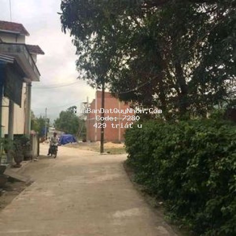 đất bùi thị xuân