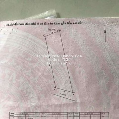 đất cần bán ra nhanh.