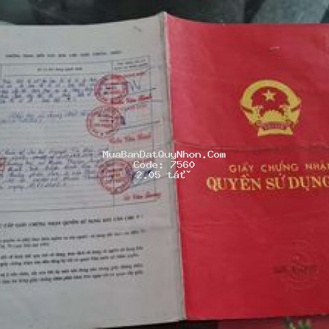 đất chính chủ cần bán gấp.