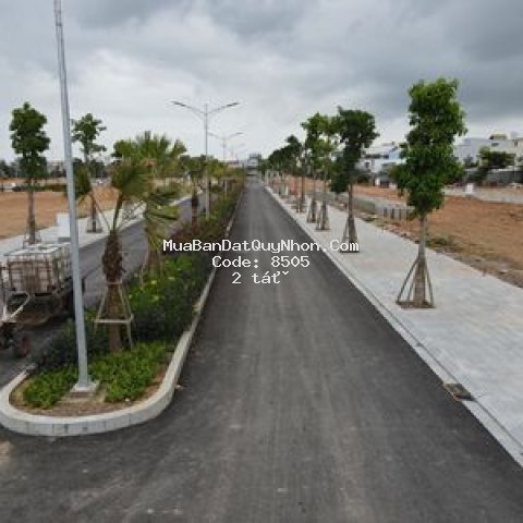 đất chợ an nhơn, đường ngô gia tự