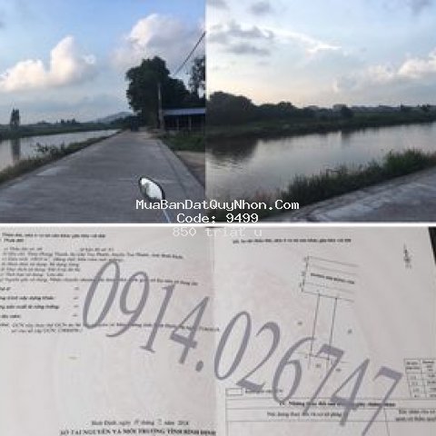 đất chợ gò 100m2