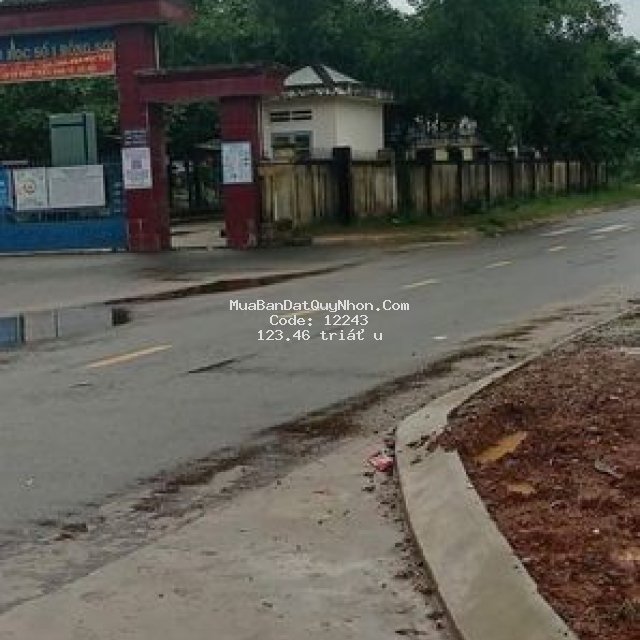đất đấu giá