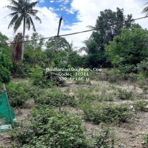 đất đẹp. đường ô tô. giá rẻ. dân cư kín mít