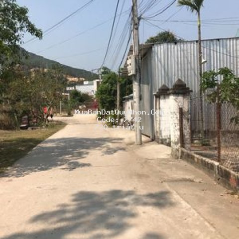 đất đẹp đường trần đại nghĩa