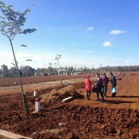 đất giá tốt- chư sê - gia lai. dt: 1000 m2 thổ cư