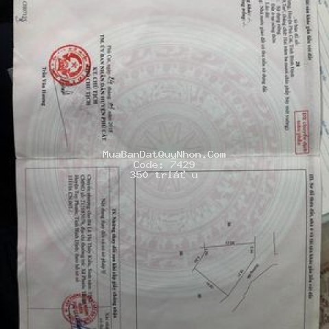 đất huyện phù cát 240m², thổ cư, bán nhanh tiêu te