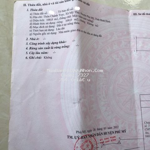 đất huyện phù mỹ 100m²
