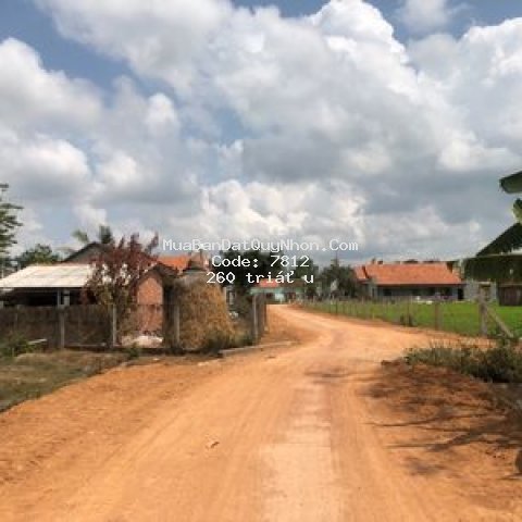 đất huyện tây sơn 337m² giá 250triệu cần bán nhanh