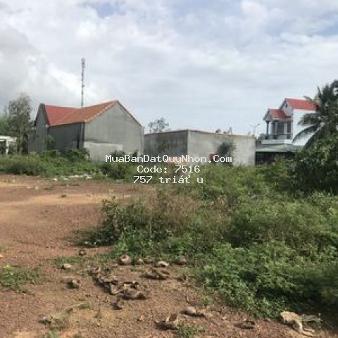 đất khu trung tâm tt bình dương phù mỹ