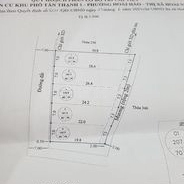 đất nền đấu giá