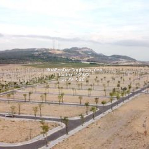 đất nền quốc lộ 19b 80m²