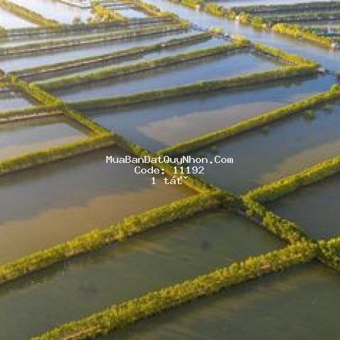 đất nền quy nhơn 1 tỷ chiết khấu 200 triệu