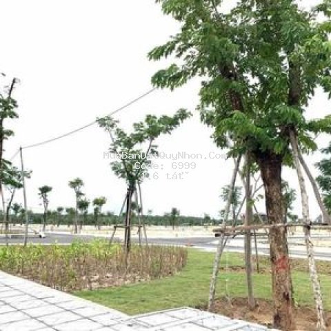đất nền sát biển quy nhơn