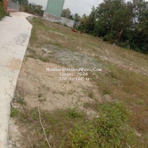 đất nền sổ sẵn giá rẻ dịp tết