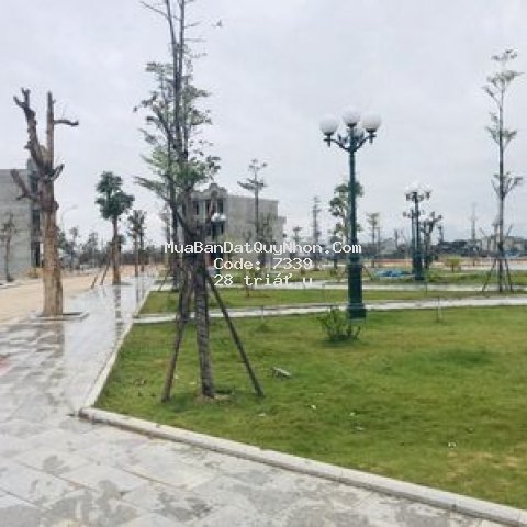 đất sổ đỏ 100 150m2 ngay p.bình định tx an nhơn